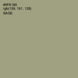 #9FA180 - Sage Color Image