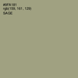 #9FA181 - Sage Color Image