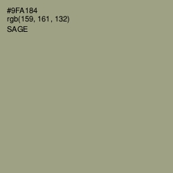 #9FA184 - Sage Color Image