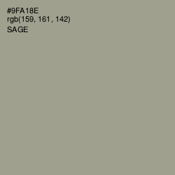 #9FA18E - Sage Color Image