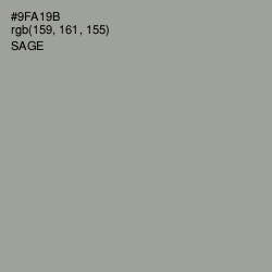 #9FA19B - Sage Color Image