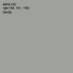 #9FA19C - Sage Color Image