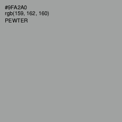 #9FA2A0 - Pewter Color Image