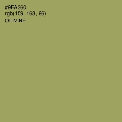 #9FA360 - Olivine Color Image