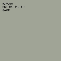 #9FA497 - Sage Color Image