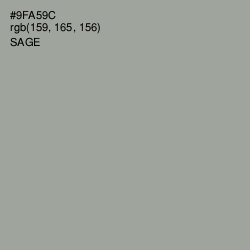 #9FA59C - Sage Color Image