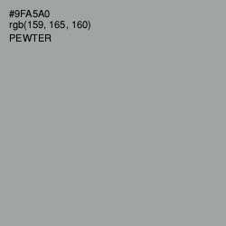 #9FA5A0 - Pewter Color Image