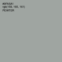 #9FA5A1 - Pewter Color Image