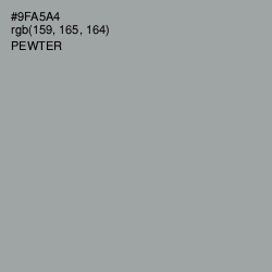 #9FA5A4 - Pewter Color Image