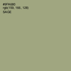 #9FA680 - Sage Color Image