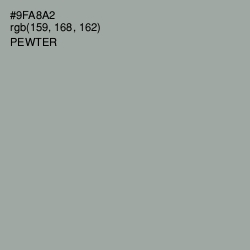 #9FA8A2 - Pewter Color Image