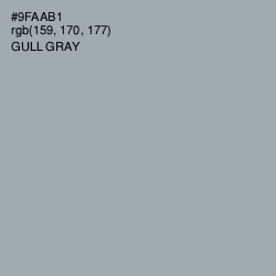 #9FAAB1 - Gull Gray Color Image