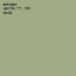 #9FAB84 - Sage Color Image