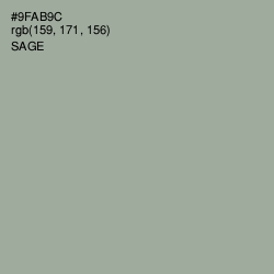 #9FAB9C - Sage Color Image