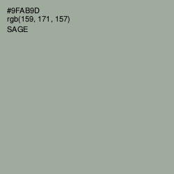 #9FAB9D - Sage Color Image