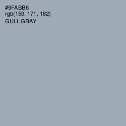 #9FABB6 - Gull Gray Color Image