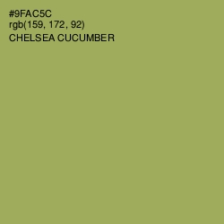 #9FAC5C - Chelsea Cucumber Color Image