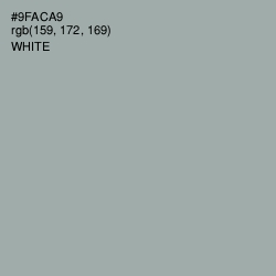 #9FACA9 - Pewter Color Image