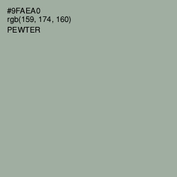 #9FAEA0 - Pewter Color Image