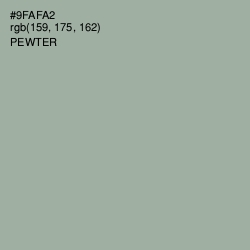 #9FAFA2 - Pewter Color Image
