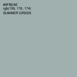 #9FB0AE - Summer Green Color Image