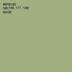 #9FB180 - Sage Color Image
