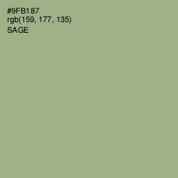 #9FB187 - Sage Color Image