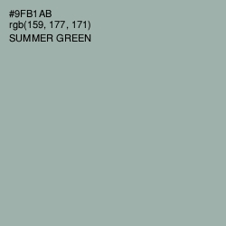 #9FB1AB - Summer Green Color Image