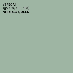 #9FB5A4 - Summer Green Color Image