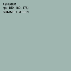 #9FB6B0 - Summer Green Color Image