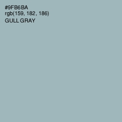 #9FB6BA - Gull Gray Color Image