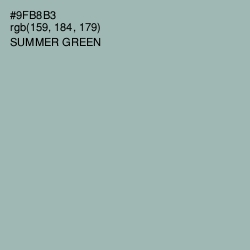 #9FB8B3 - Summer Green Color Image