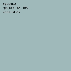 #9FB9BA - Gull Gray Color Image