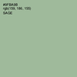 #9FBA9B - Sage Color Image