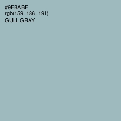 #9FBABF - Gull Gray Color Image