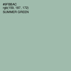 #9FBBAC - Summer Green Color Image