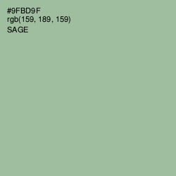 #9FBD9F - Sage Color Image