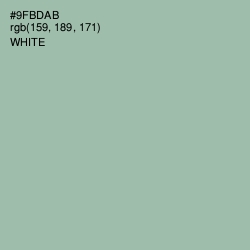 #9FBDAB - Summer Green Color Image