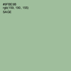 #9FBE9B - Sage Color Image