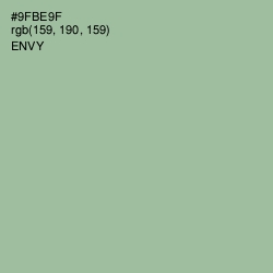 #9FBE9F - Envy Color Image