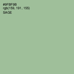 #9FBF9B - Sage Color Image