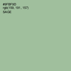 #9FBF9D - Sage Color Image