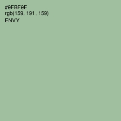 #9FBF9F - Envy Color Image