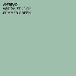 #9FBFAD - Summer Green Color Image