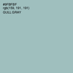 #9FBFBF - Gull Gray Color Image