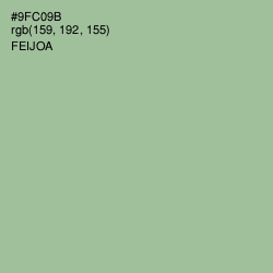 #9FC09B - Feijoa Color Image