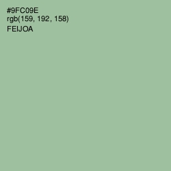 #9FC09E - Feijoa Color Image