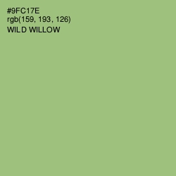 #9FC17E - Wild Willow Color Image
