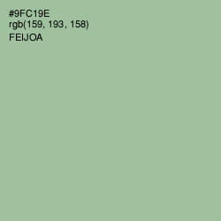 #9FC19E - Feijoa Color Image