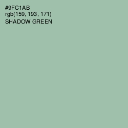 #9FC1AB - Shadow Green Color Image